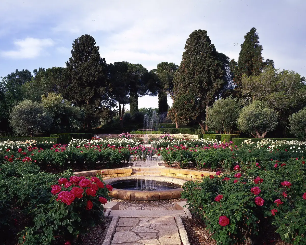The memorial gardens at Ramat HaNadiv: red rose beds around a round stone fountain, framed by cypress and pine trees